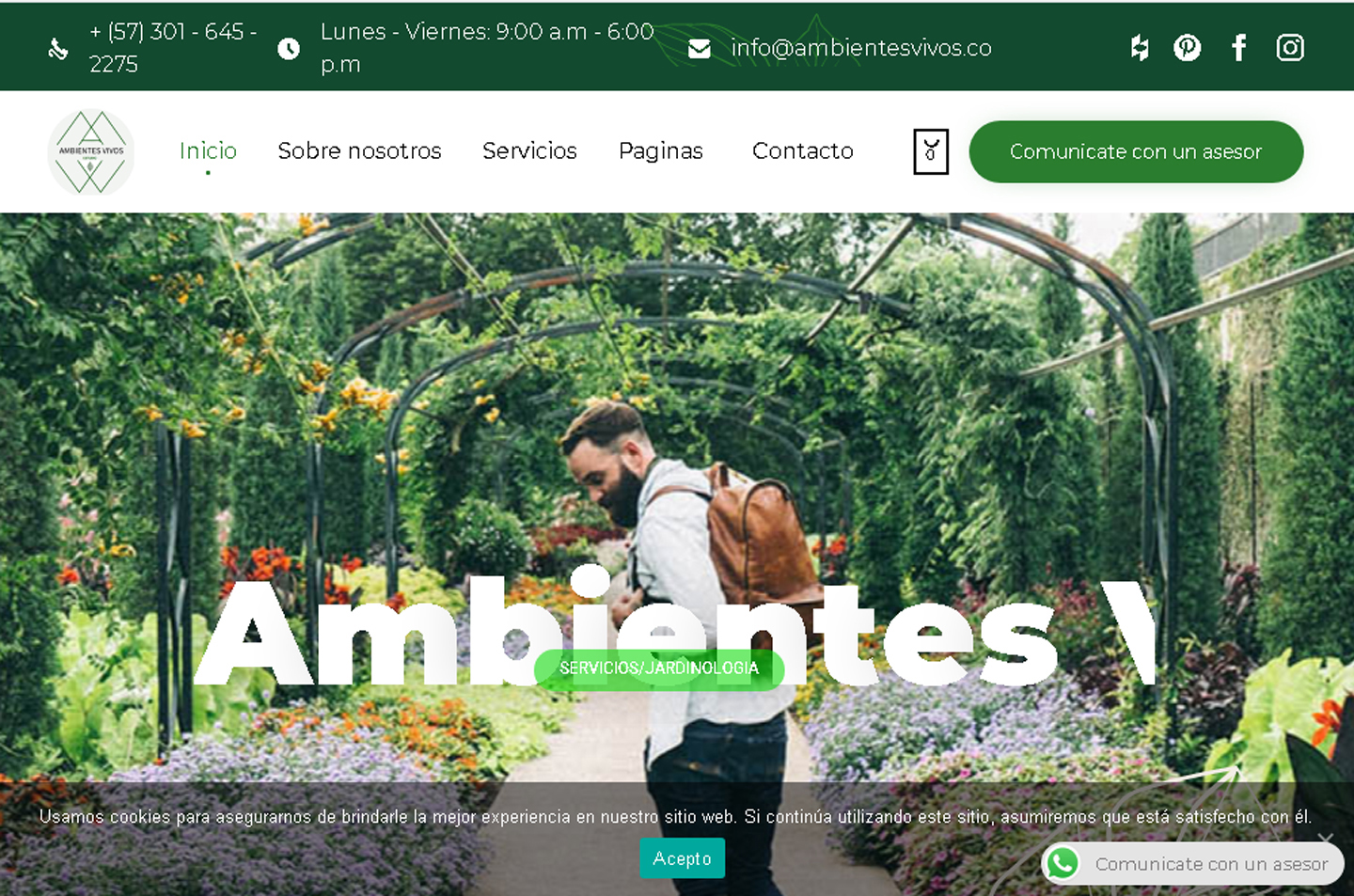screencapture-bygcontadores-cl-2019-04-03-11_44_05.jpg